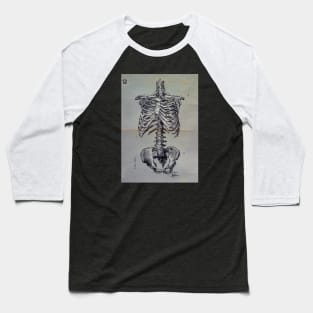 Cage (anatomy study) Baseball T-Shirt